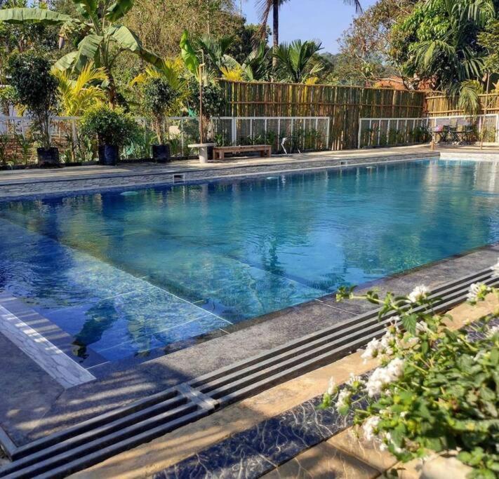 Ibiza Wonderland , Meppadi Wayanad Villa Екстериор снимка